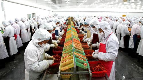 京東生鮮聯手德炎水產,打開小龍蝦產業新格局