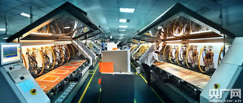 江西龍南快步融入粵港澳大灣區