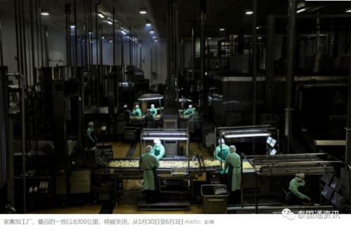 引發(fā)普遍擔(dān)憂 泰國最大肉聯(lián)廠爆發(fā)聚集性感染200多人確診