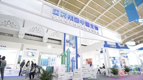 智慧引領，科技賦能 記者帶你解鎖南博會新體驗——恒特發展焦點